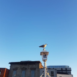 irland rundreise 2022 evelyn_28